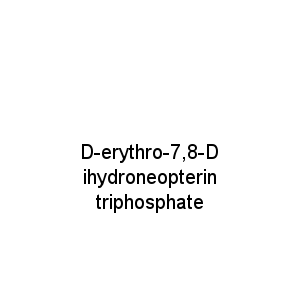 D-erythro-7,8-Dihydroneopterin triphosphate